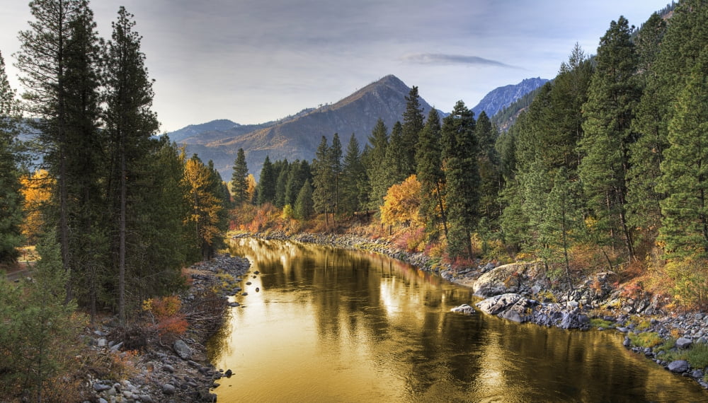 Composite Entitled river Of Gold Taken From A Bridge Over The Icicle River Leavenworth Washington United States Of America Canvas Art - Robert Bartow Design Pics (40 x 22)