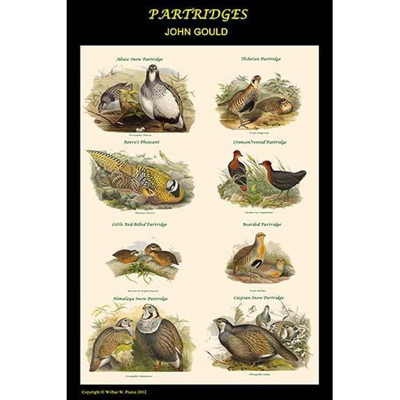 Composite Partridge Classroom Poster-Fine Art Canvas Print (20" x 30")