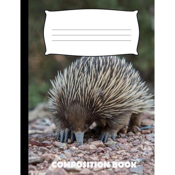 Composition Book: Anteater Composition Notebook Wide Ruled (Paperback)