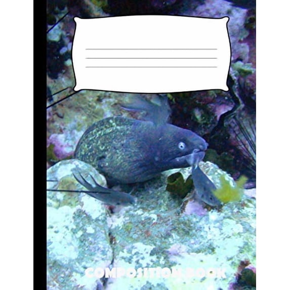 Composition Book: Eel Composition Notebook Wide Ruled (Paperback)