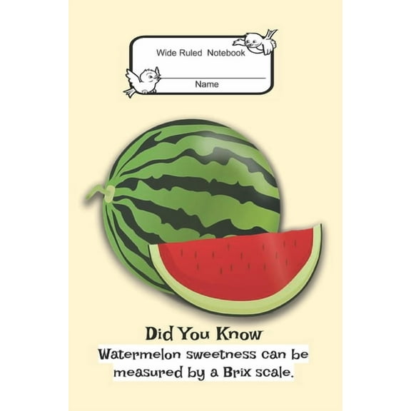 Composition Book: Wide Rule- Watermelon, (Paperback)