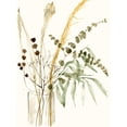 thumbnail image 1 of Art.com Composition in Vase II Art Print by Jennifer Goldberger, 12" x 16", 1 of 4