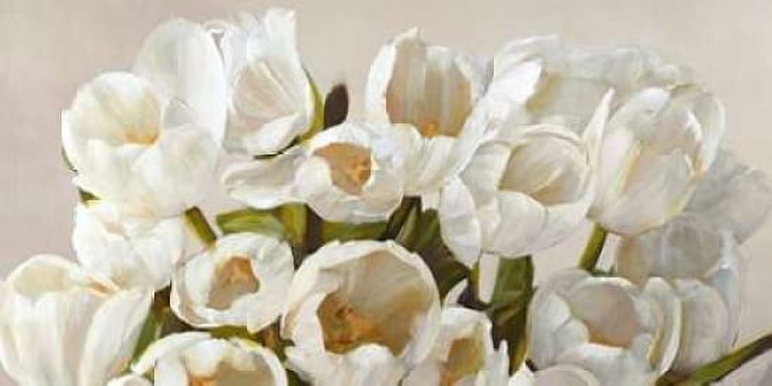 Composizione in bianco Canvas Art - Leonardo Sanna (10 x 20)