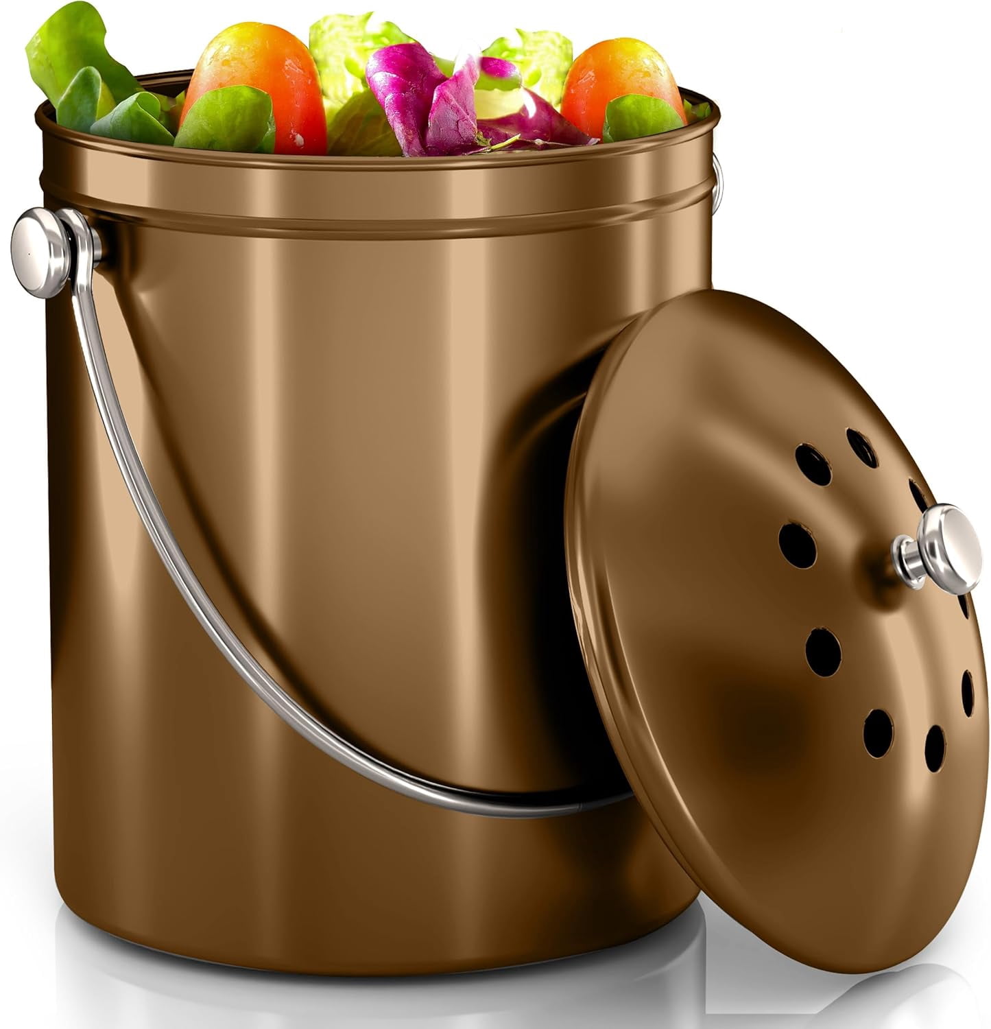 Composter Silver Compost Bin for Kitchen Countertop, 1 Gallon Compost Bucket for Kitchen ...