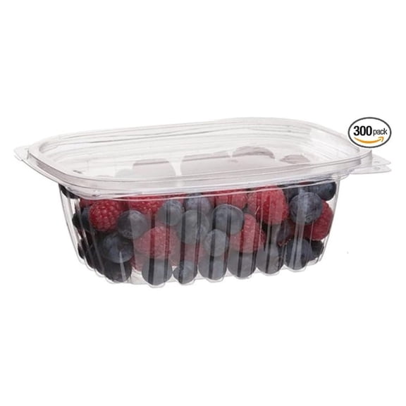 Compostable 12oz Clear Rectangular Deli Containers With Lids, Case of 300, Meal Prep, Made from PLA Plastic, A Renewable Material Made from Plants, One Lid Fits All