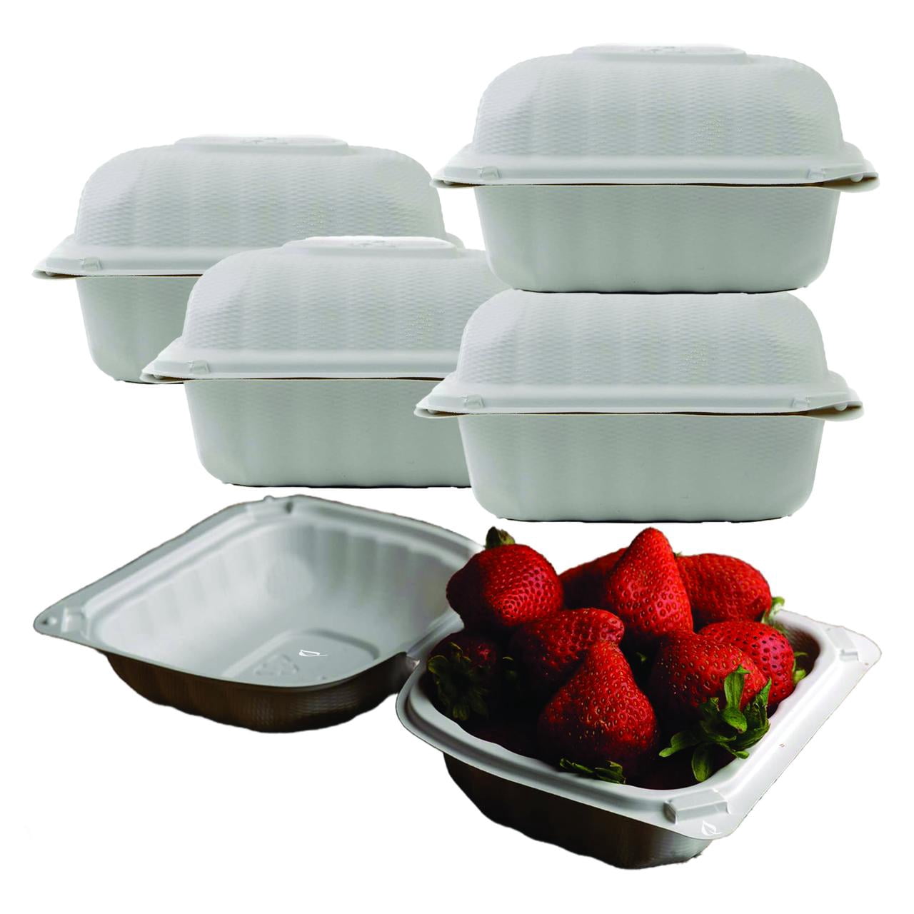 Compostable Square Hinged Clamshell Take Out Food Containers 6x6 ...