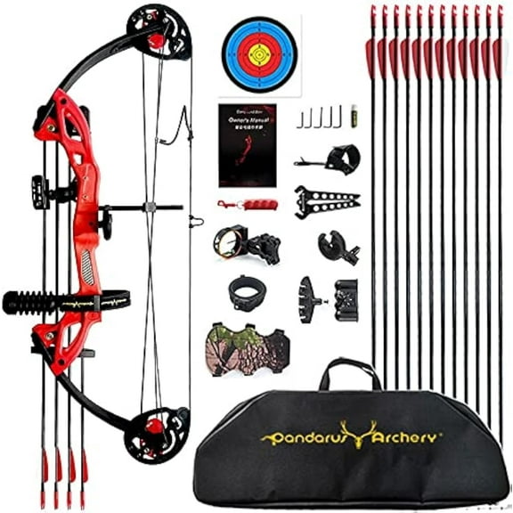 Compound Bow Archery kit for Youth & Beginner, Right Handed,19”-28” Draw Length,15-29 Lbs Draw Weight, 260 fps, Lightweight Design