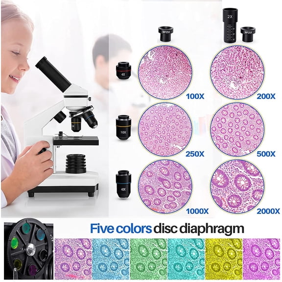 Compound Microscope 100X-2000X with LED Light, Dual Illumination, Metal Frame for Kids Students Home School Lab