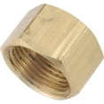 thumbnail image 1 of AMC Compression Cap Fitting - 1/4" Gold, 1 of 1