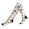 thumbnail image 1 of Compression Socks For Women And Men - Dachshund Dog Puppy Interesting Compression Socks Circulation For Workout, 1 of 2