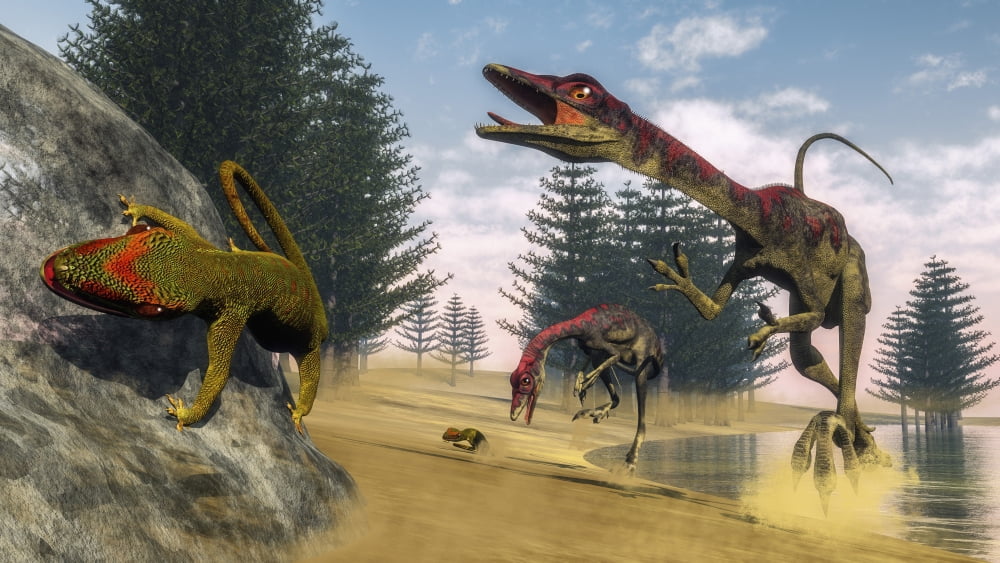 Compsognathus dinosaur hunting a gecko in a lagoon Canvas Art - Elena DuvernayStocktrek Images (37 x 21)