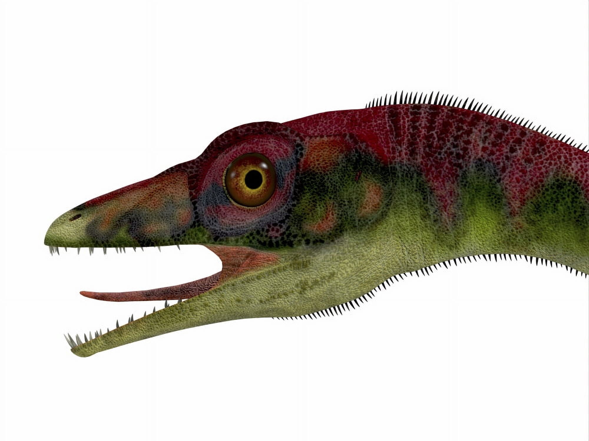 Compsognathus dinosaur portrait Canvas Art - Corey FordStocktrek Images (32 x 24)