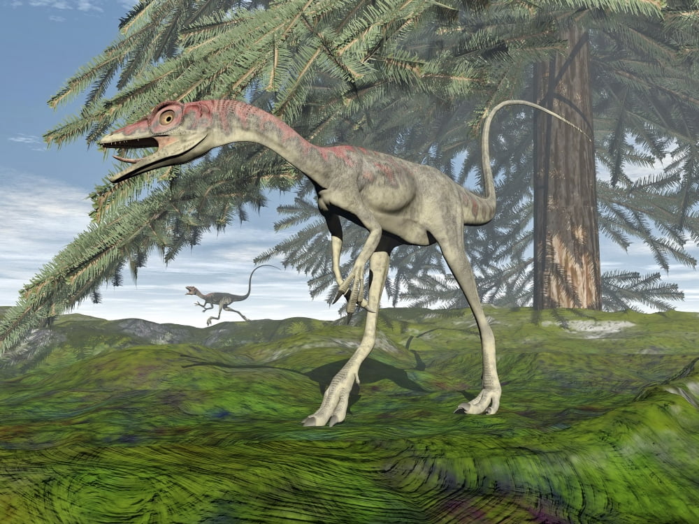 Compsognathus dinosaur under fir tree Canvas Art - Elena DuvernayStocktrek Images (33 x 25)
