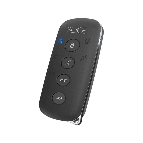 Compustar 2W940XR-SS 2-Way LED Slice Replacement Remote