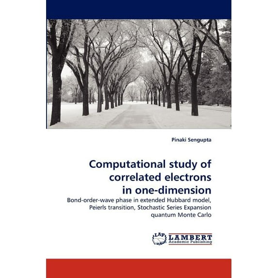 Computational study of correlated electrons in one-dimension (Paperback)