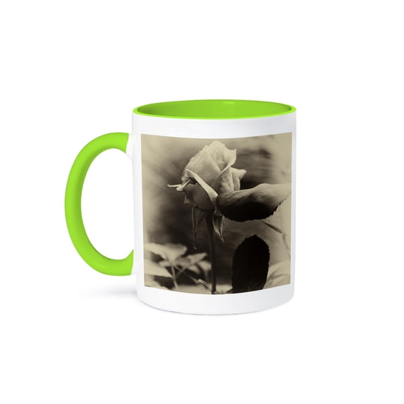 3dRose, Computer enhanced rose to look old fashion, 15oz Two-Tone Green Mug