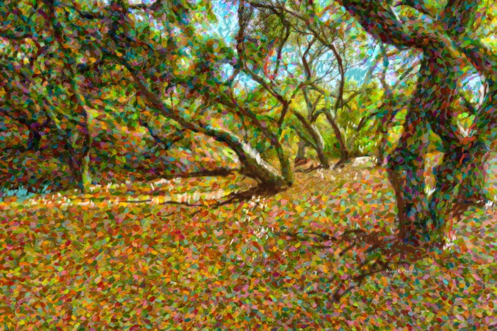 Computer Generated Image Of Autumn Coloured Leaves Fallen From Trees Canvas Art - Angela A Stanton Design Pics (38 x 24)