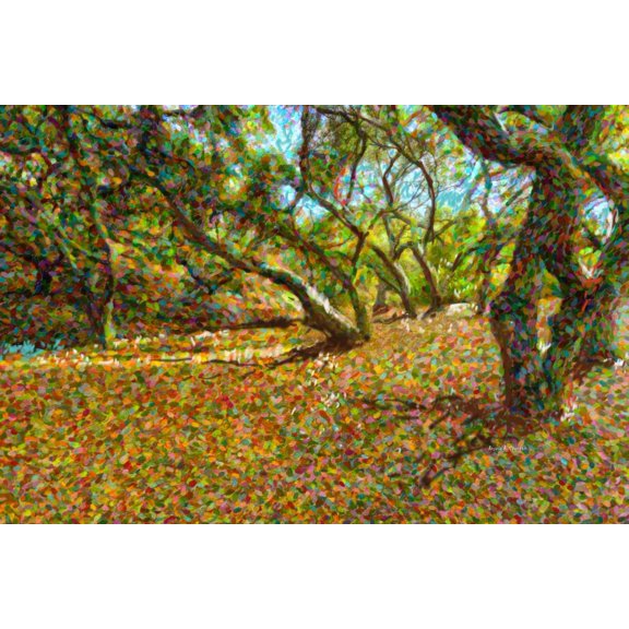 Computer Generated Image Of Autumn Coloured Leaves Fallen From Trees Canvas Art - Angela A Stanton Design Pics (38 x 24)