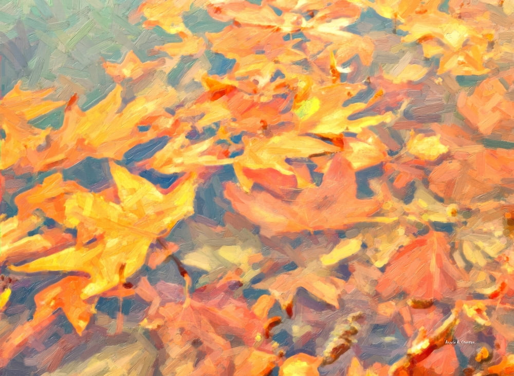 Computer Generated Image Of Autumn Coloured Leaves Floating In Water Canvas Art - Angela A Stanton  Design Pics (18 x 13)