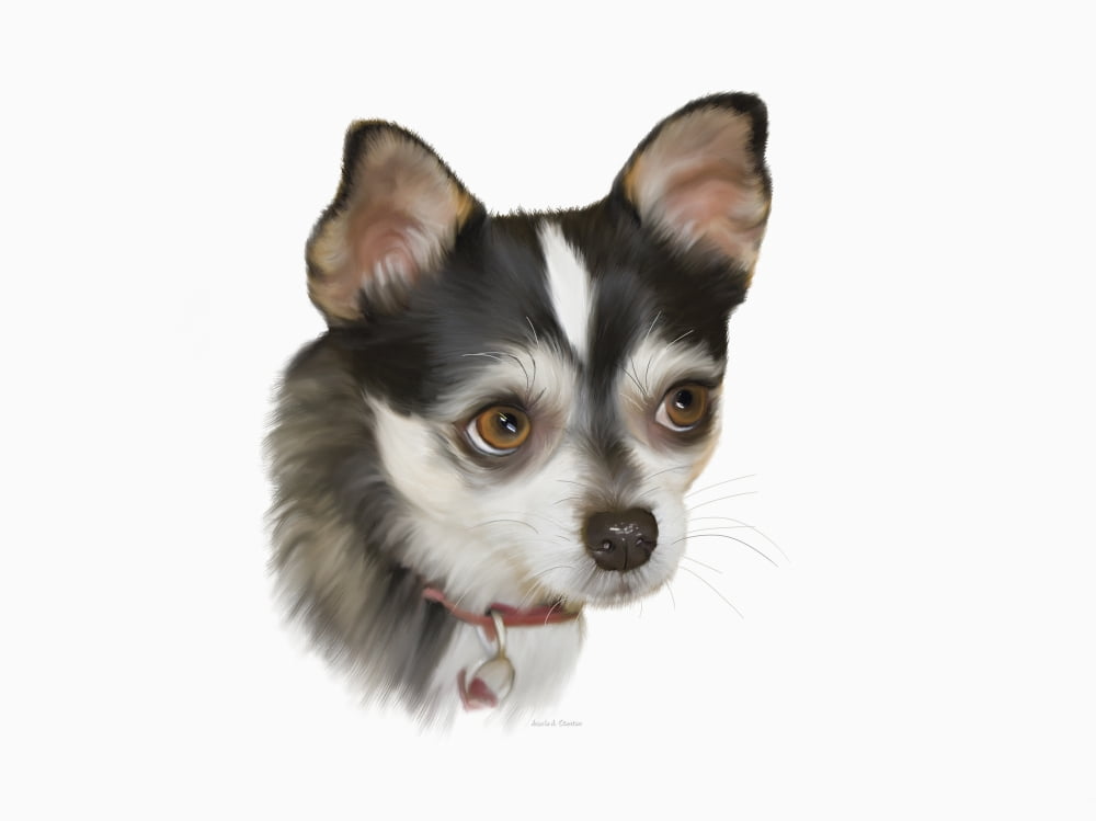 Computer Generated Portrait Of A Dog Canvas Art - Angela A Stanton Design Pics (36 x 26)