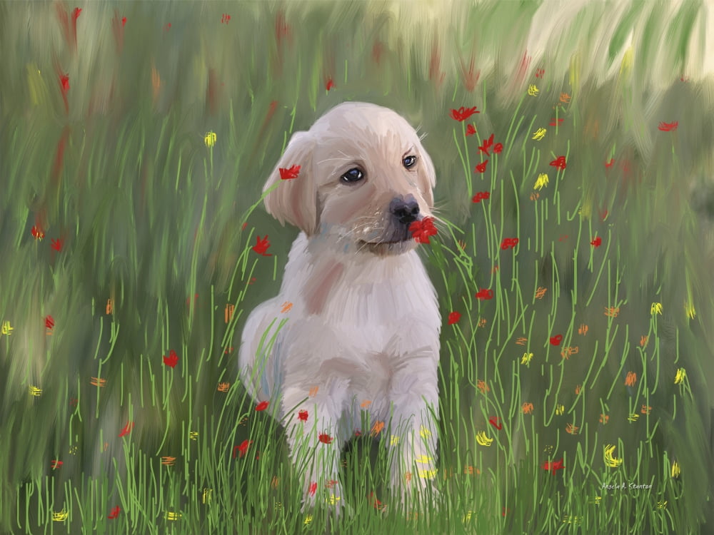 Computer Generated Portrait Of A Dog Sitting In A Field Of Wildflowers Canvas Art - Angela A Stanton Design Pics (17 x 13)