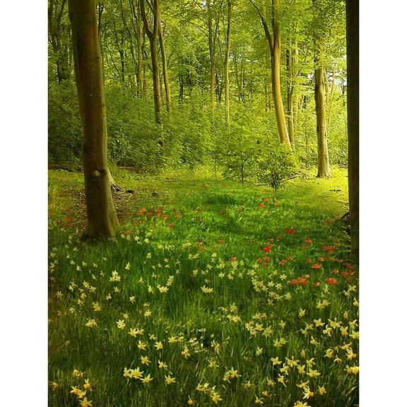 Computer Printed Photography Backdrop Photocall for Photo Studio Forest Grassland Flowers Vinyl Background for Photo Shooting