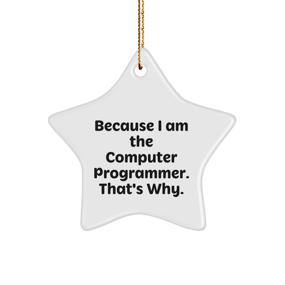 Computer Programmer Gifts from Friends, Star Ornament for Men, Because I Am The Computer Programmer. That's Why. Christmas Unique Gifts