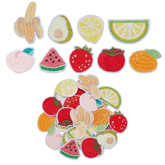 Computerized Embroidery Cloth Iron on/Sew on Patches Costume Accessories Appliques Fruit Mixed Color 23~41.5x26~38.5x1~2mm 9pcs/set