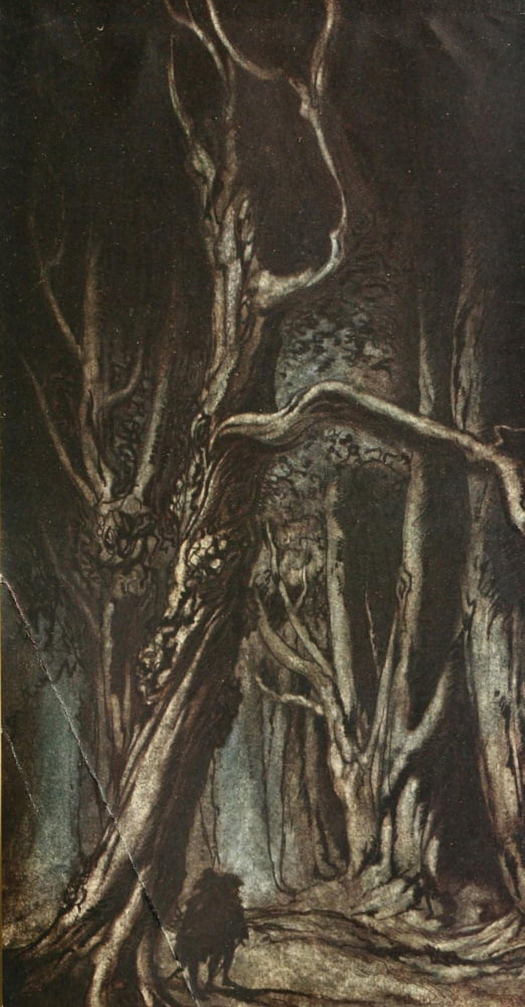 Comus 1921 Enter 2 brothers Canvas Art - A Rackham (18 x 24)