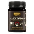 thumbnail image 1 of Comvita Certified UMF 5+ (MGO 83+) Raw Manuka Honey, Authentic, Wild, Unpasteurized, Non-GMO Superfood for Daily Wellness I 17.6 oz, 1 of 3