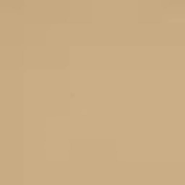 ConSandtrate Concrete Crack Filler 3 lb. (Single Bottle) for Filling