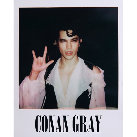 Conan Gray Concert Poster Size 24''x36'' -Gategoo