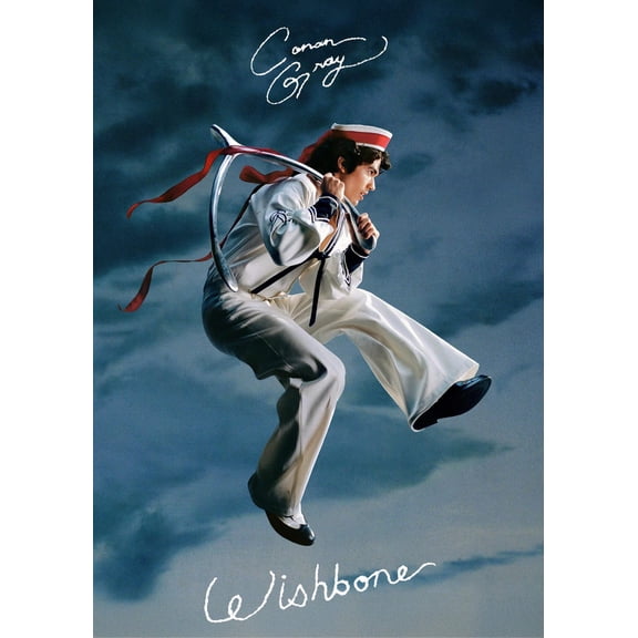 Conan Gray Indie Pop Portrait Poster, Wishbone Album Mood Wall Art, Modern Music Decor, Size 24x36 Unframed Poster