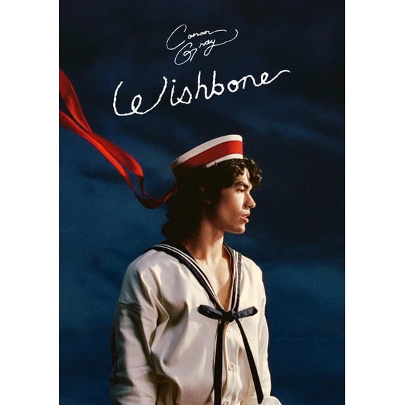 Conan Gray Wishbone Era Poster, Indie Pop Music Wall Art, Moody Album Style Room Decor, Size 24x36 Unframed Poster