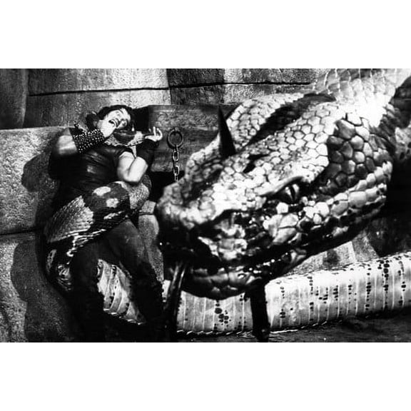 Conan the Barbarian 24x36 Poster Arnold Schwarzenegger Battles Giant Snake