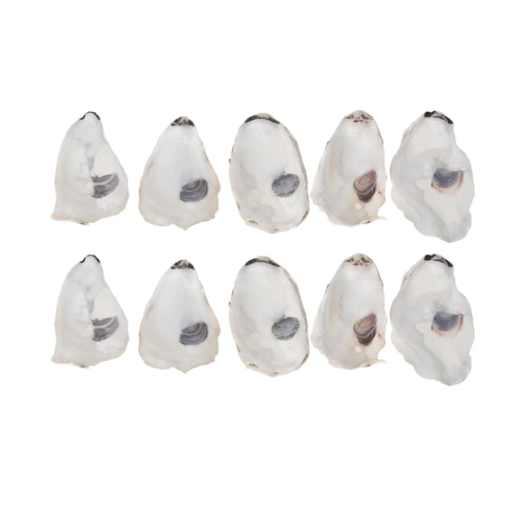 Concave Oysters Shells for Crafts,Cleaned Oysters Shells for Vase Filler Jewelry Dishes Wedding Decors Seashells Art
