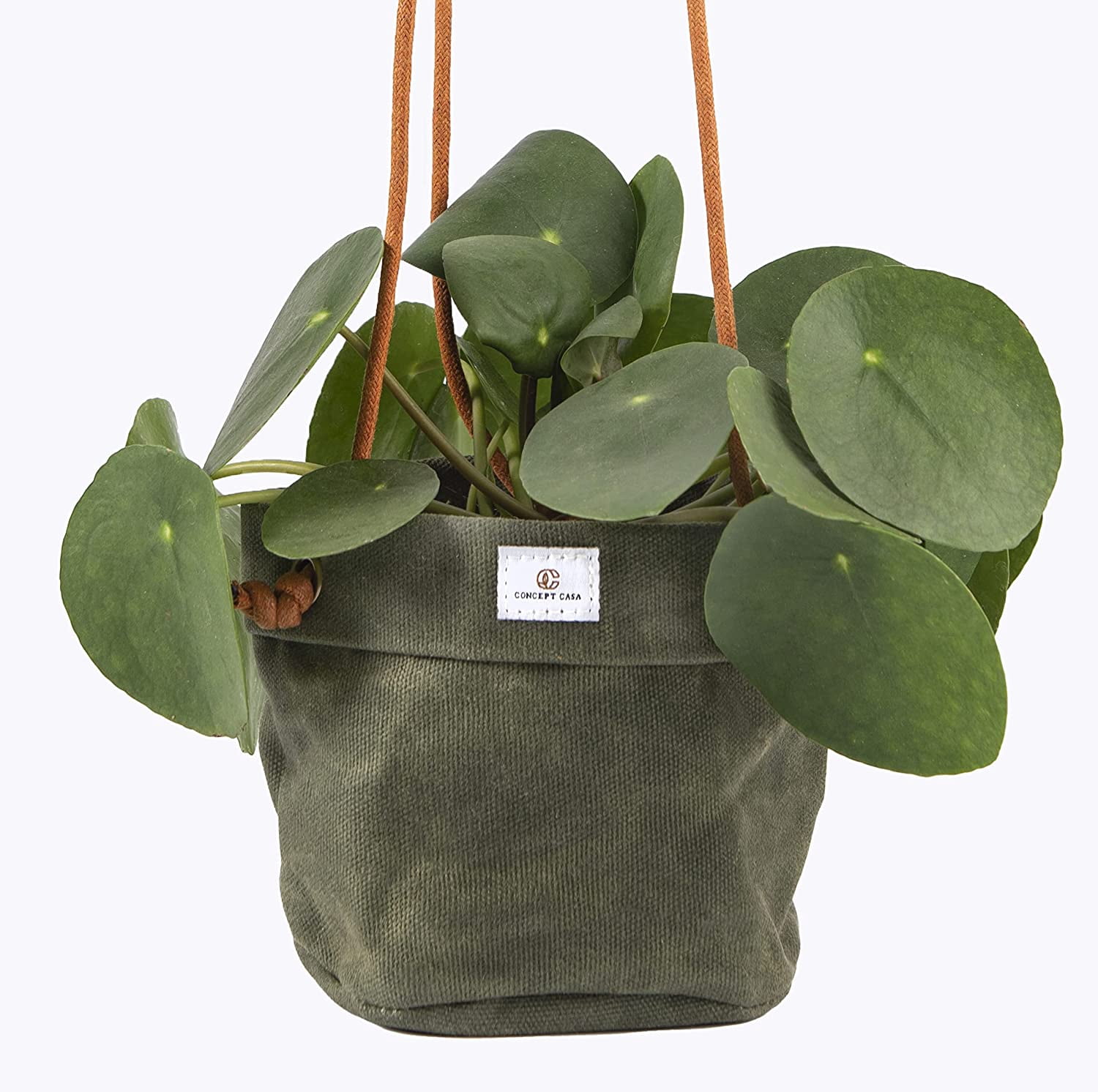 Concept Casa Small 5" Solid Print Hanging Planter with Handmade Waxed Canvas (Forest Green)