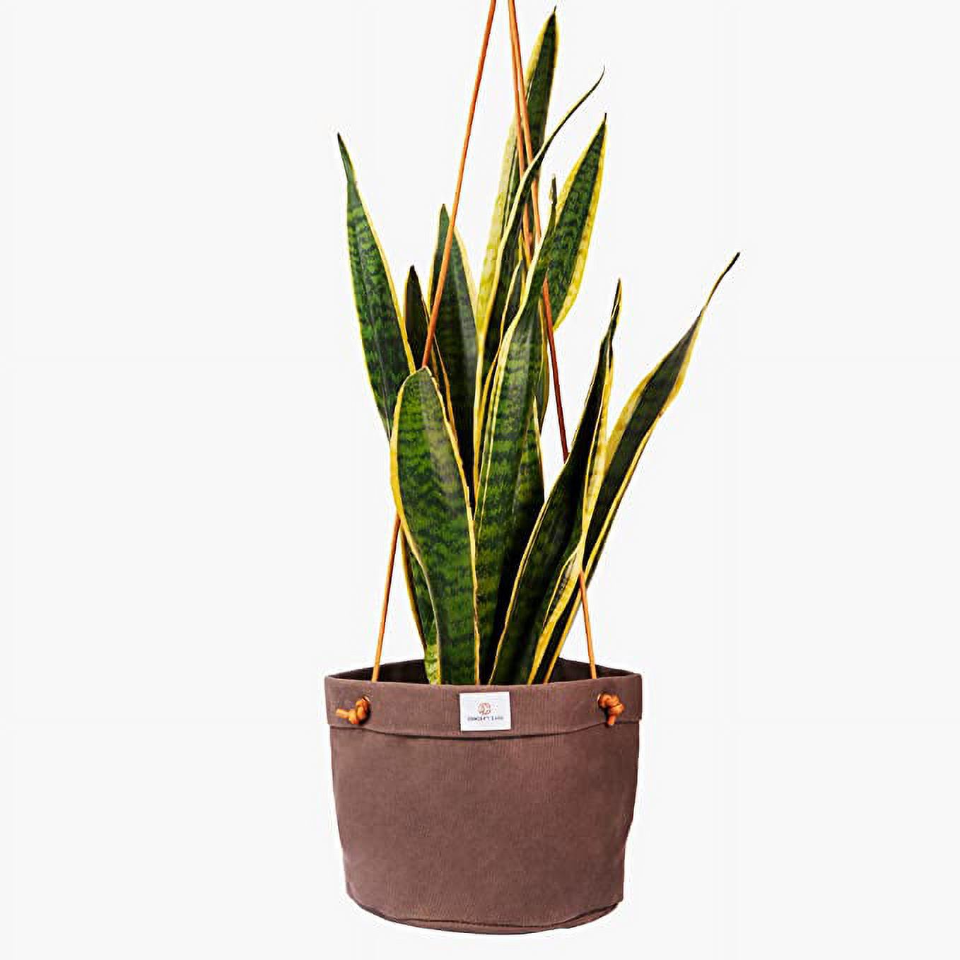 Concept Casa Large 8" Solid Print Hanging Planter with Handmade Waxed Canvas (Charcoal Gray)