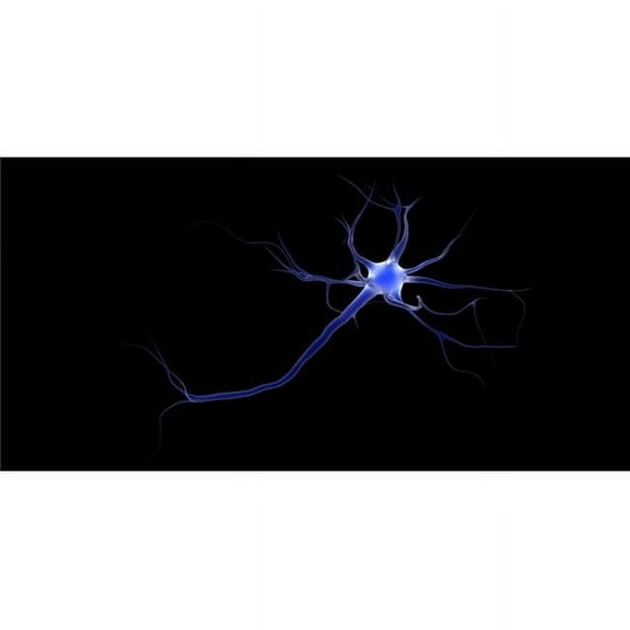 Conceptual Image of A Neuron Poster Print, 20 x 10