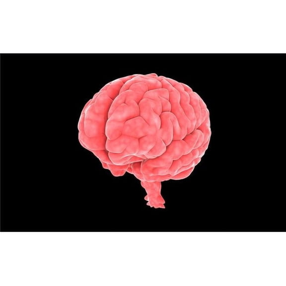 Conceptual Image of Human Brain Poster Print, 35 x 22 - Large