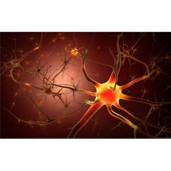 Conceptual Image of Neuron Poster Print - 35 x 22 - Large