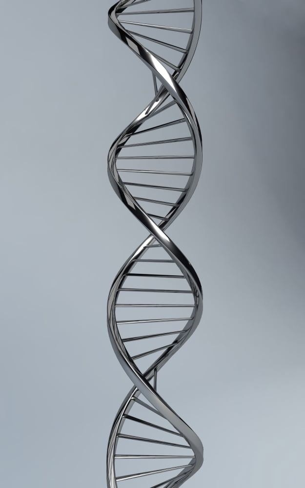 Conceptual image of DNA Canvas Art - Stocktrek Images (23 x 36)