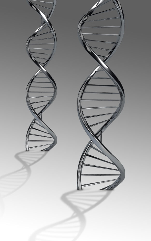 Conceptual image of DNA Canvas Art - Stocktrek Images (23 x 36)