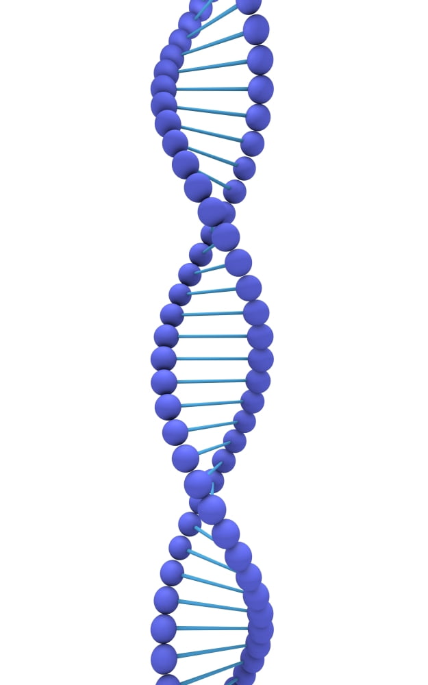 Conceptual image of DNA Canvas Art - Stocktrek Images (23 x 36)