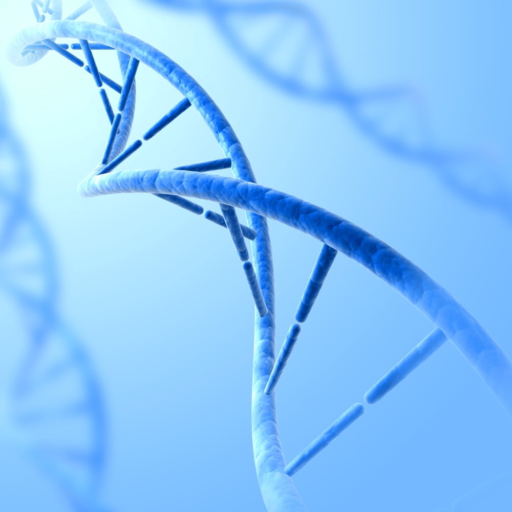 Conceptual image of DNA Canvas Art - Stocktrek Images (29 x 29)