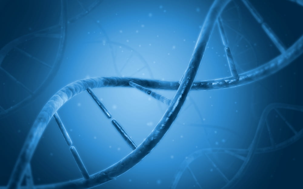 Conceptual image of DNA Canvas Art - Stocktrek Images (36 x 23)