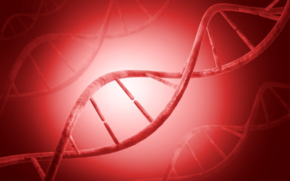 Conceptual image of DNA Canvas Art - Stocktrek Images (36 x 23)