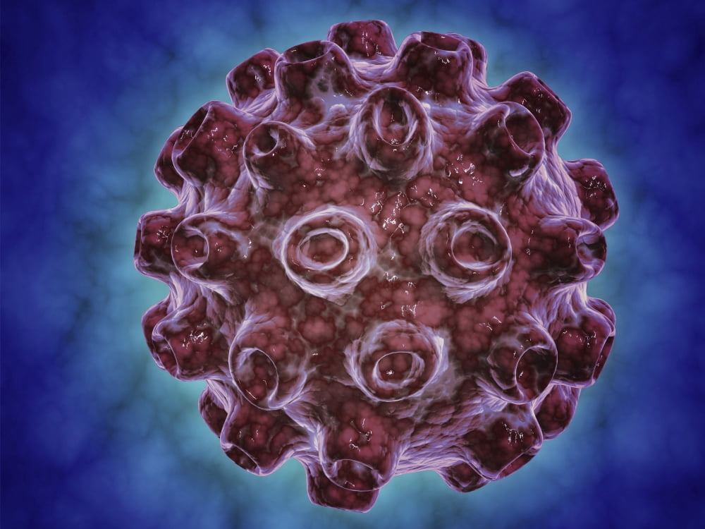 Conceptual image of Encephalitis Canvas Art - Stocktrek Images (33 x 25)