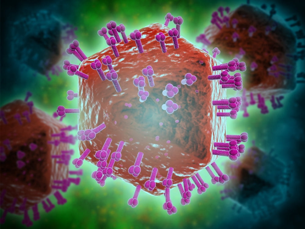Conceptual image of HIV virus Canvas Art - Stocktrek Images (33 x 25)