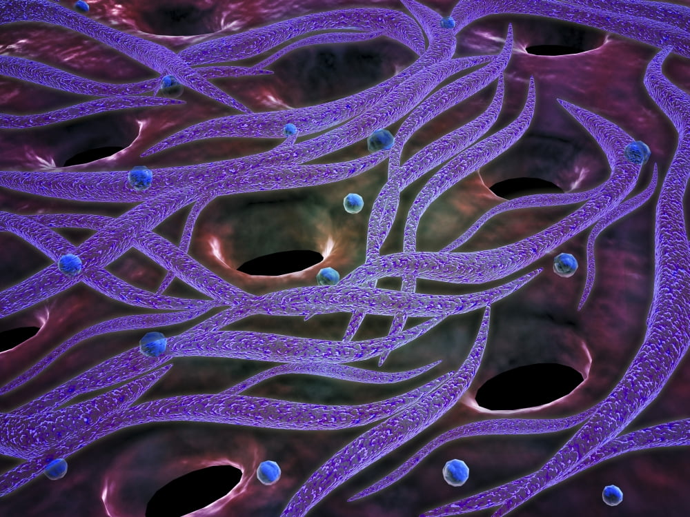 Conceptual image of Lactobacillus acidophilus Canvas Art - Stocktrek Images (17 x 13)